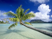 Tropical Island Beach Wallpaper Free Review and download