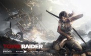 2012 Tomb Raider Game images