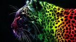 Abstract Wallpaper 13 Tiger Colorful