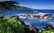 Hawaii Wallpaper beach landscape HD