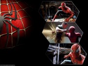Spiderman wallpapers Peter Parker & Mary Jane Watson Wallpaper pictures HD