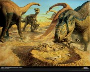dinosaur dinosaurs wallpaper kids wall paper dinosaur HD Desktop Widescreen Backgrounds